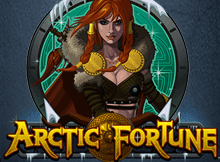 Arctic Fortune